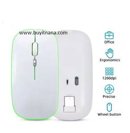 WIRELESS MOUSE ( G—132—M ) black and white 