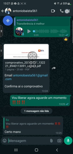  GERAÇÃO DE OURO ( MARKETING DIGITAL)