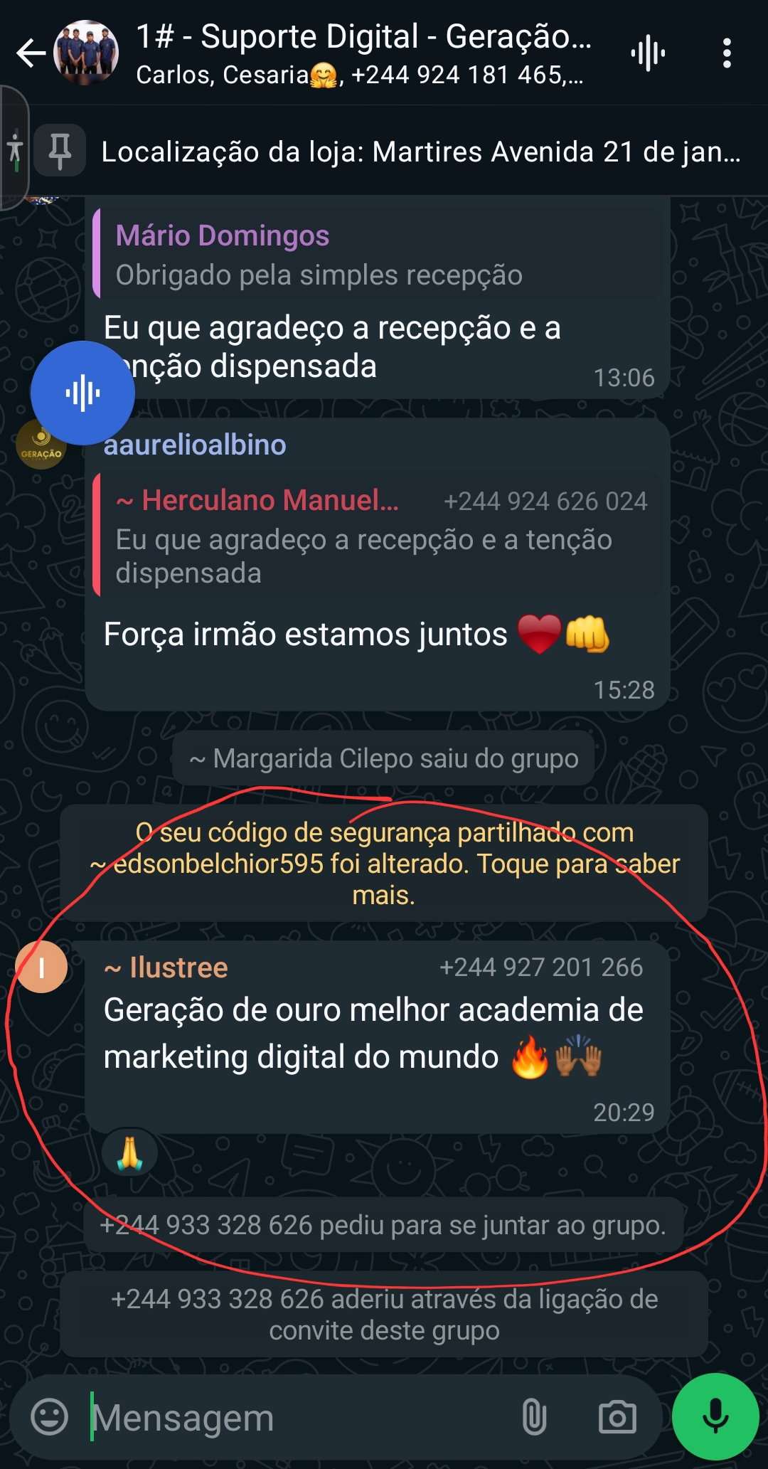  GERAÇÃO DE OURO ( MARKETING DIGITAL)_7