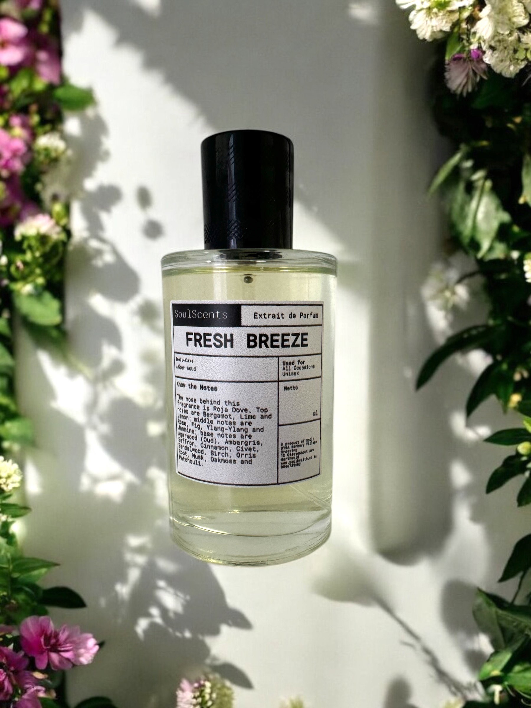 Fresh Breeze (Amber Aoud) _0