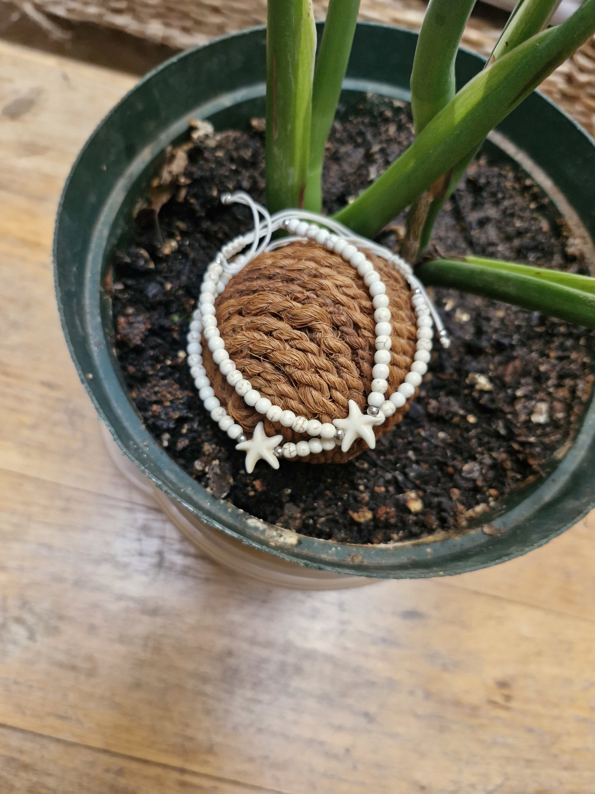 Starfish bracelet _0