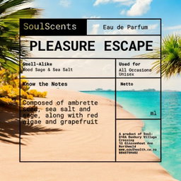 Pleasure Escape (Wood Sage & Sea Salt)
