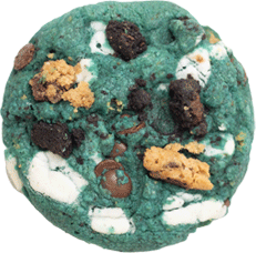 Cookie Monster_0