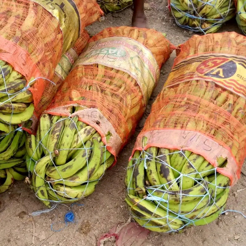 SAC DE BANANE PLANTAIN_0