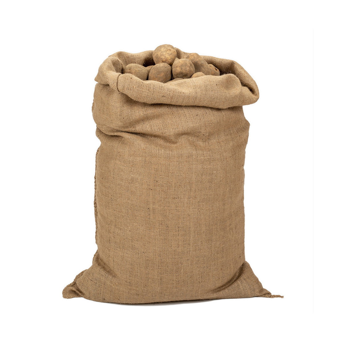SAC DE POMME DE TERRE (25kg)_0