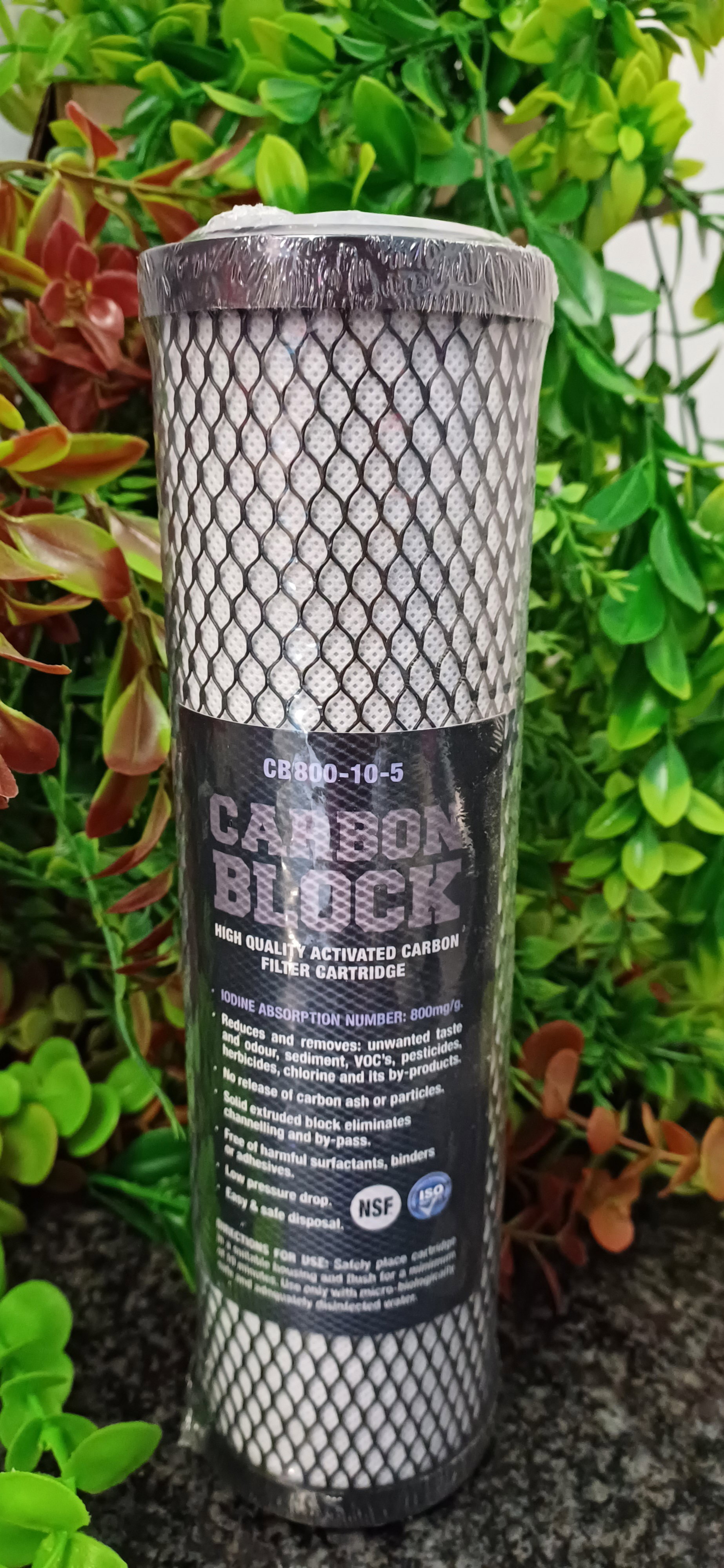 10" Carbon Block_0