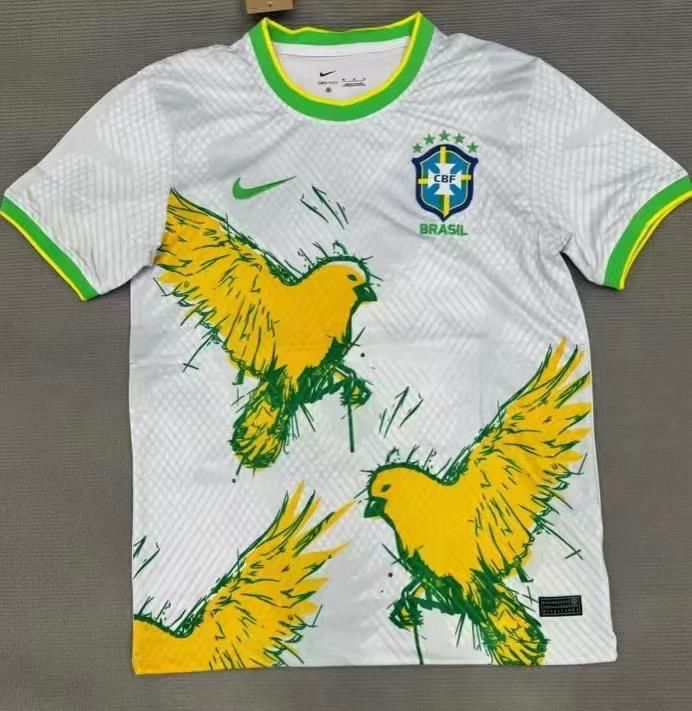 BRAZIL 2024 ALL THINGS _0