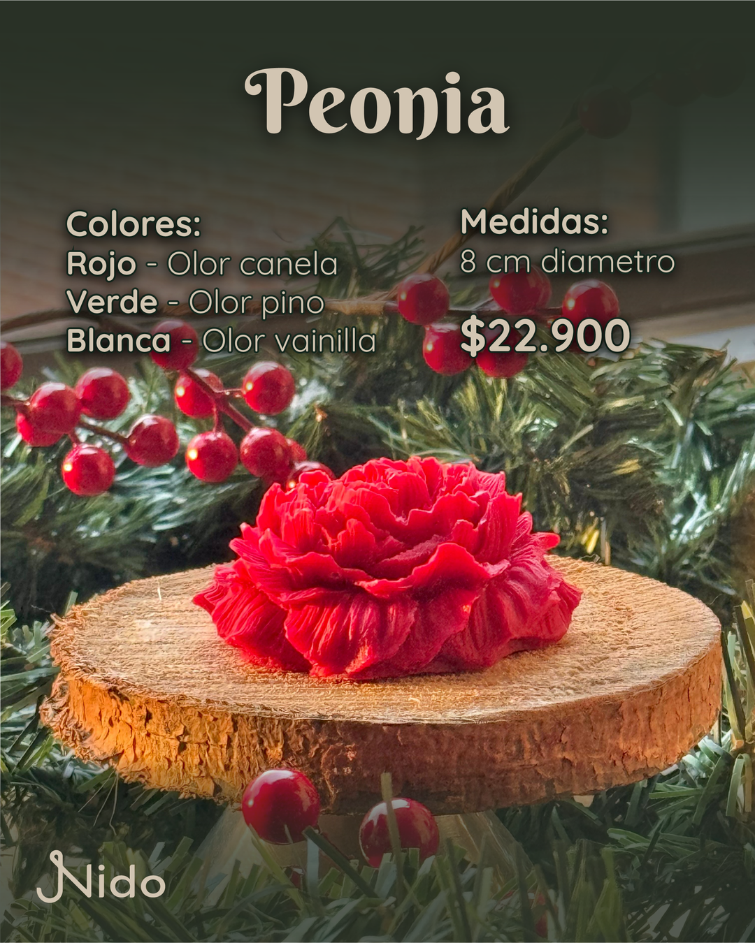 Peonia