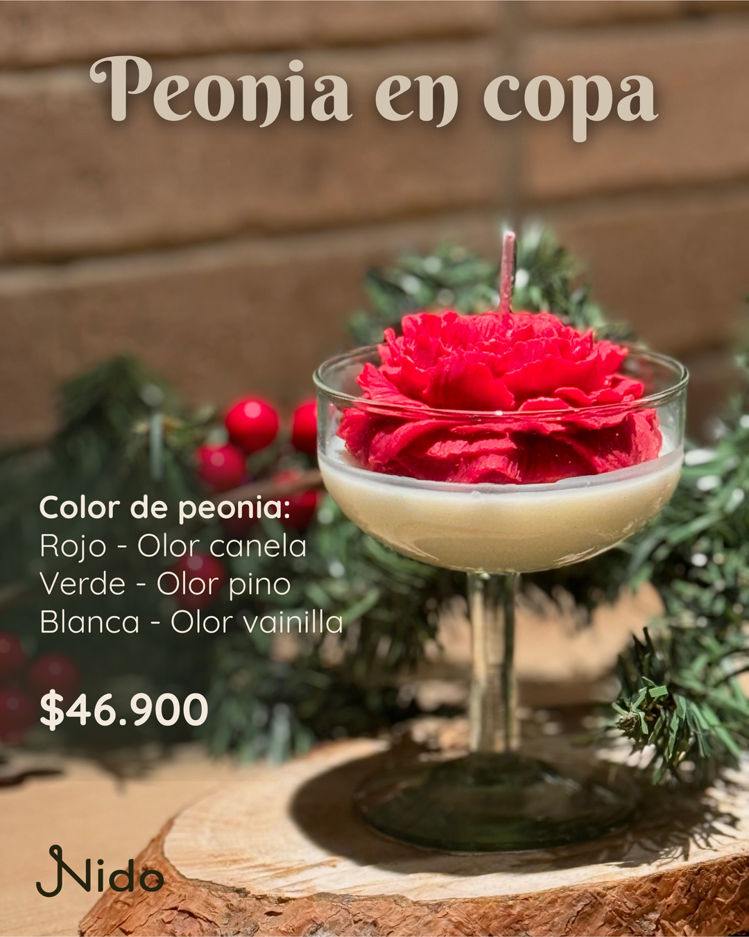 Peonia en copa