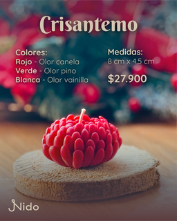 Crisantemo