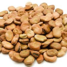 فول مصري ( نص كيلو )_1