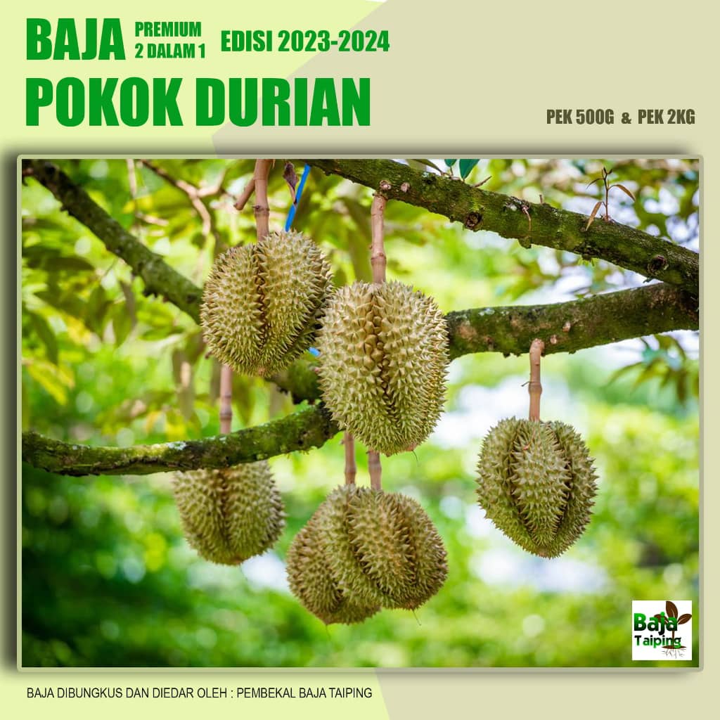 Baja Durian_0