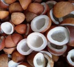 Copra Red (Yerra Cobbera, Coconut)
