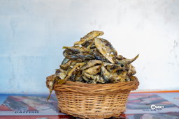 Herring