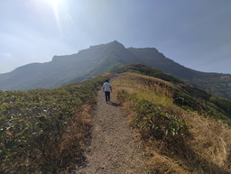 Siliguri to Gangtok (Pick & Drop)