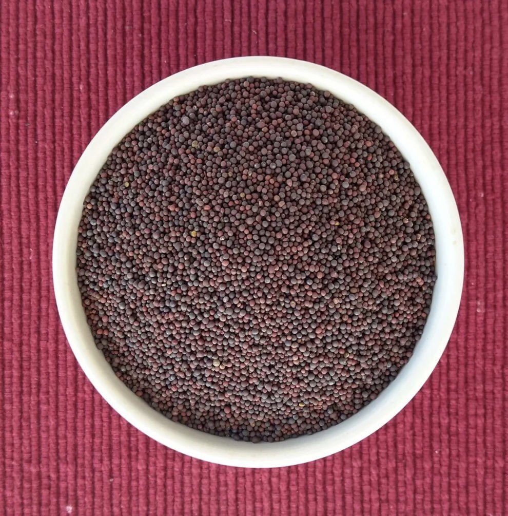 Mustard (Raya, Aavalu)_0