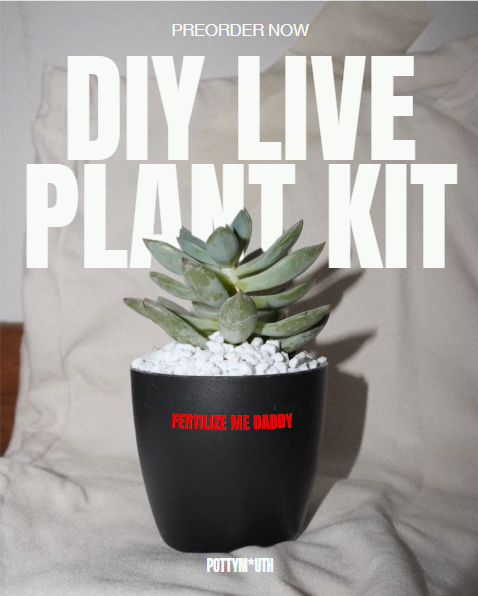 DIY Live Plant Kit