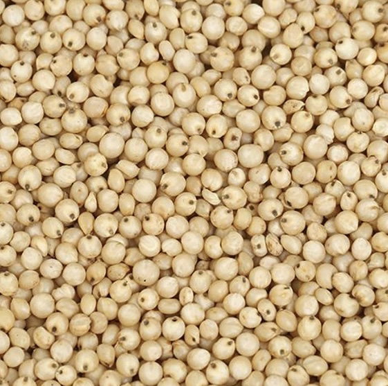 Jowar (SORGHUM MILLETS)_0