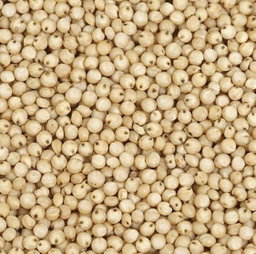 Jowar (SORGHUM MILLETS)