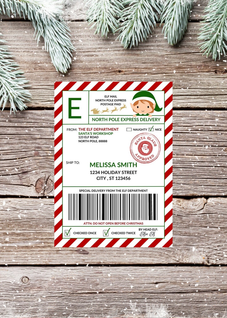 A5 Santa Delivery sticker Personalized _1