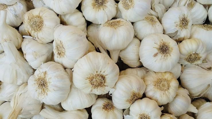 Lassan Jumbo (Garlic, Tellagaddalu)