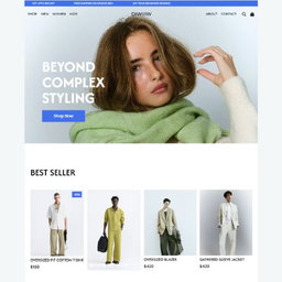 E-commerce and Branding