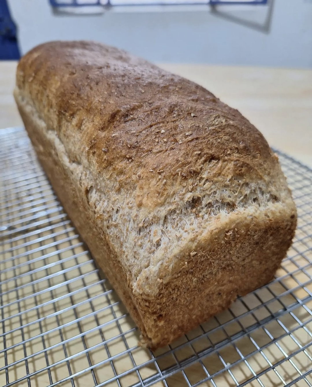 Pan de Molde Arándanos