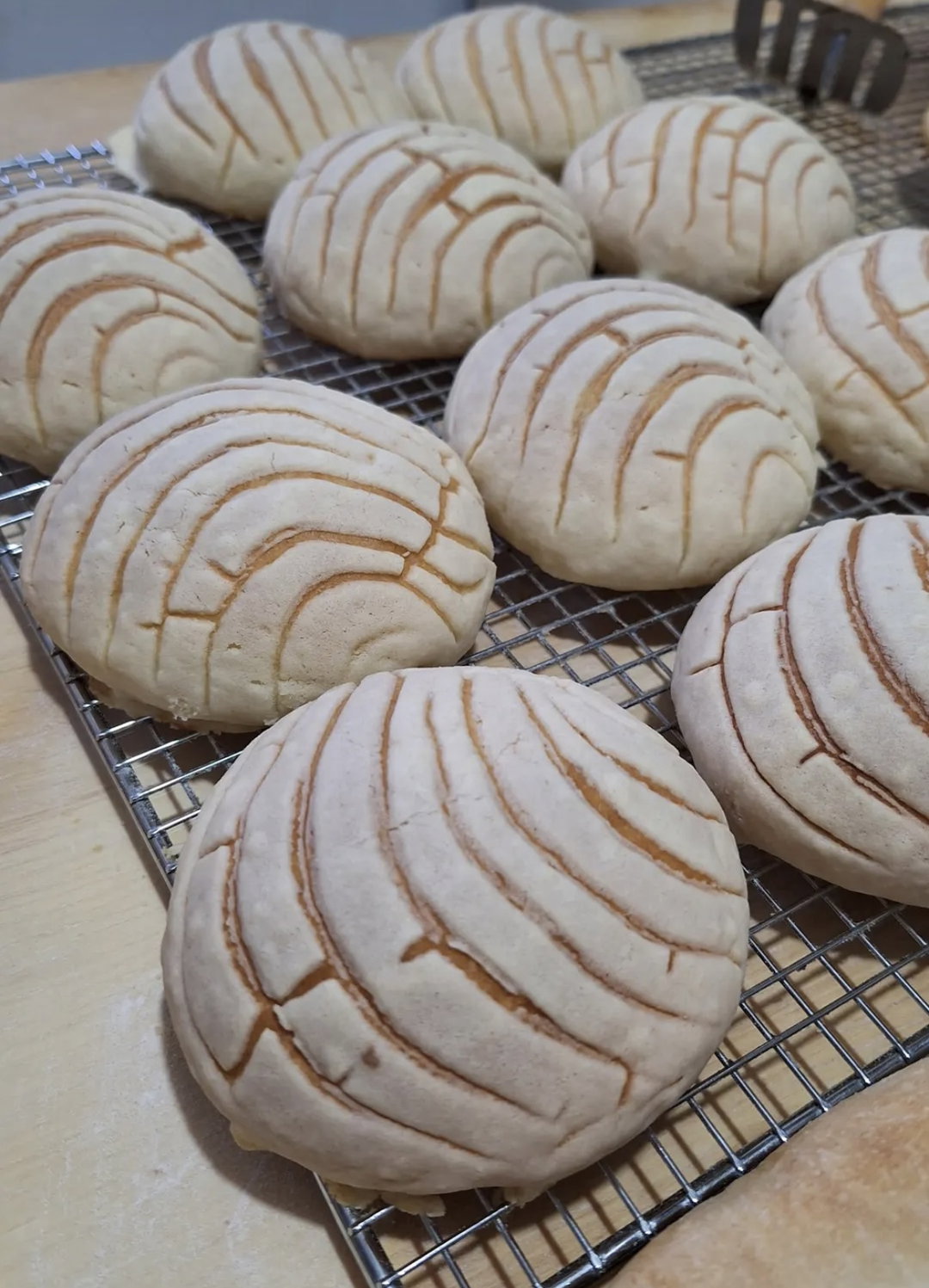 Conchas Chocolate