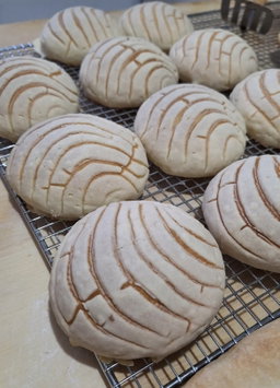 Conchas Chocolate