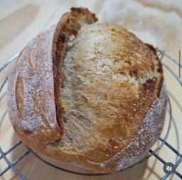 Hogaza trigo blanco - Masa madre
