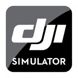 simulator