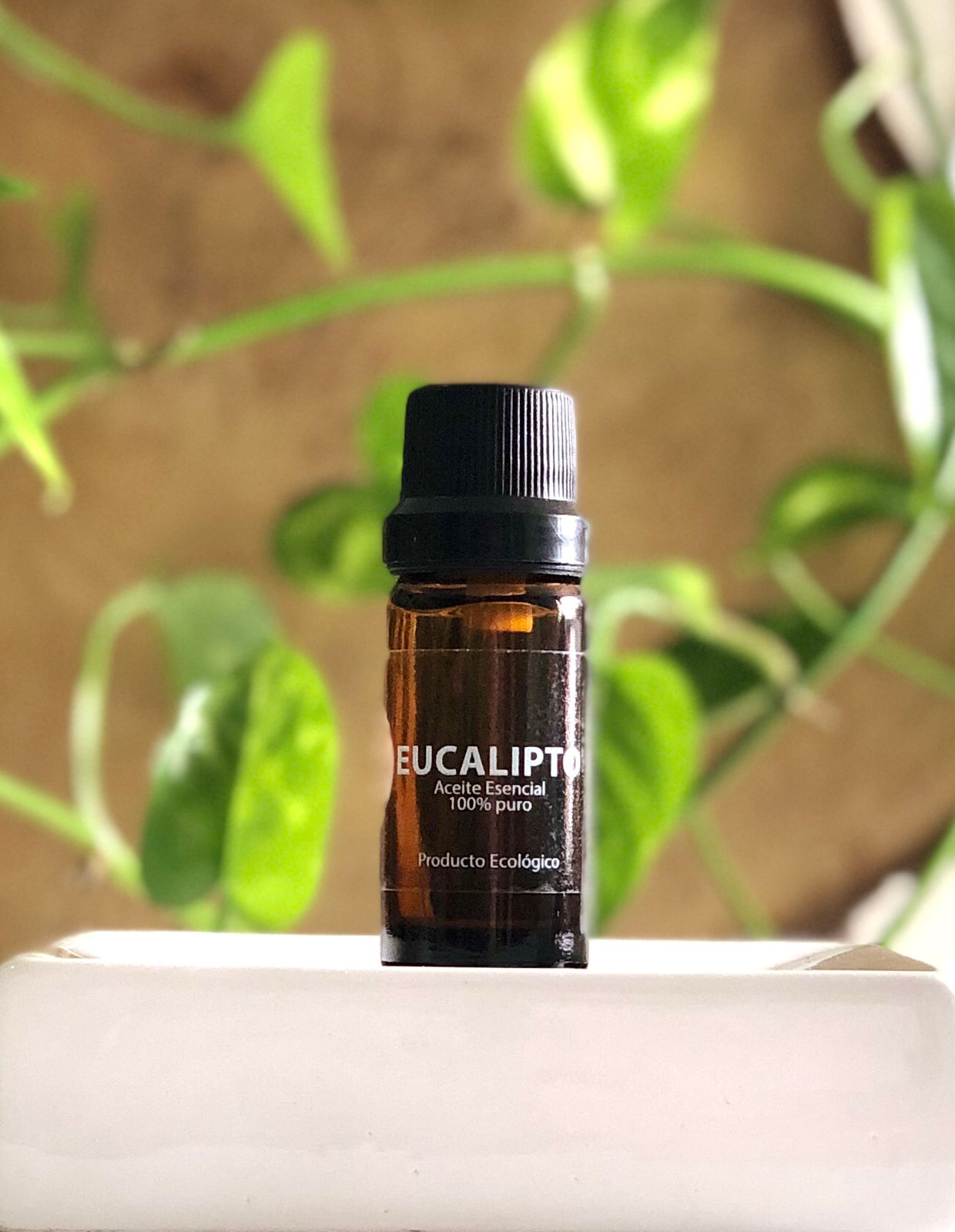 Aceite Esencial de Eucalipto 5ML_0