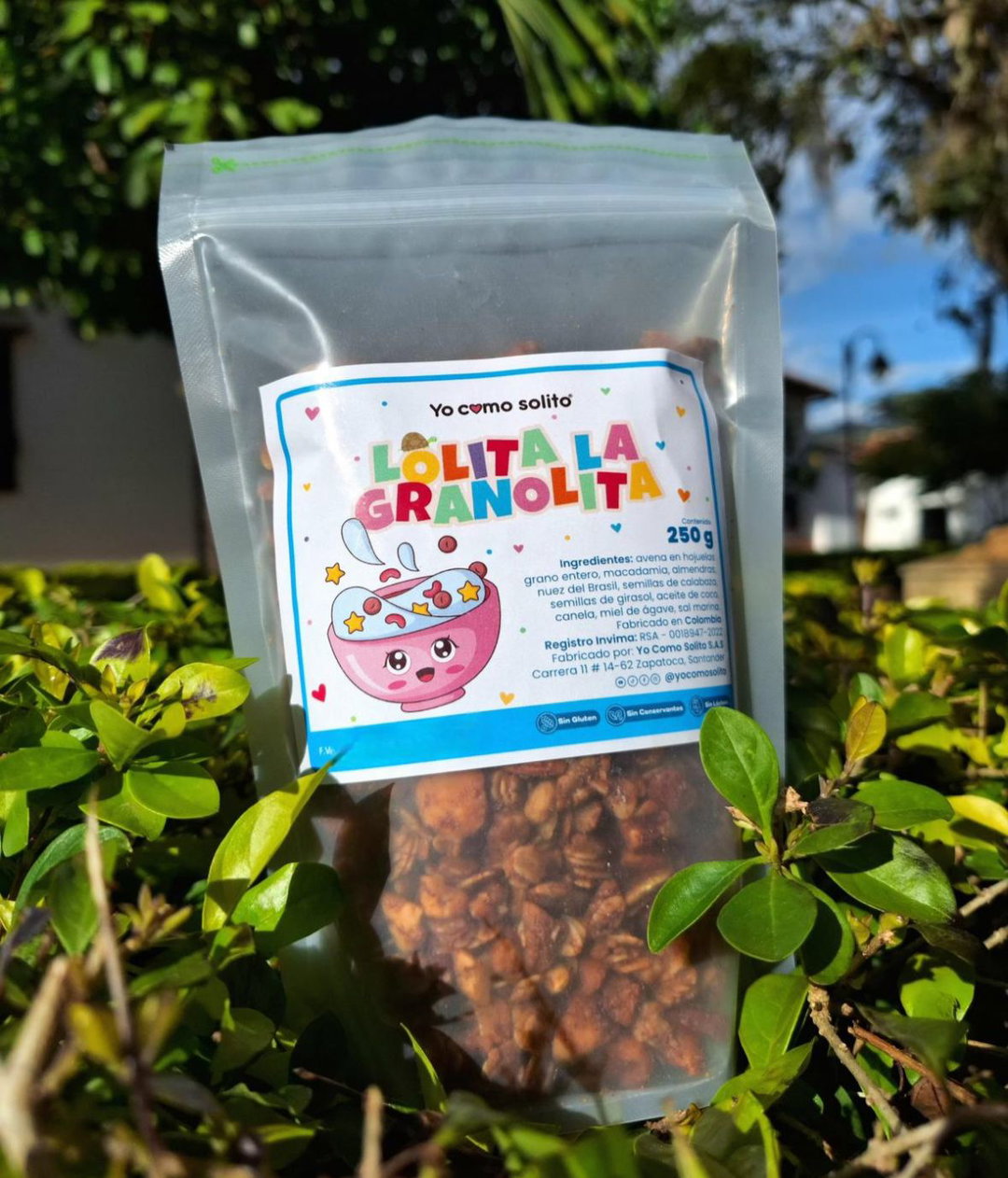 Granola x 250g