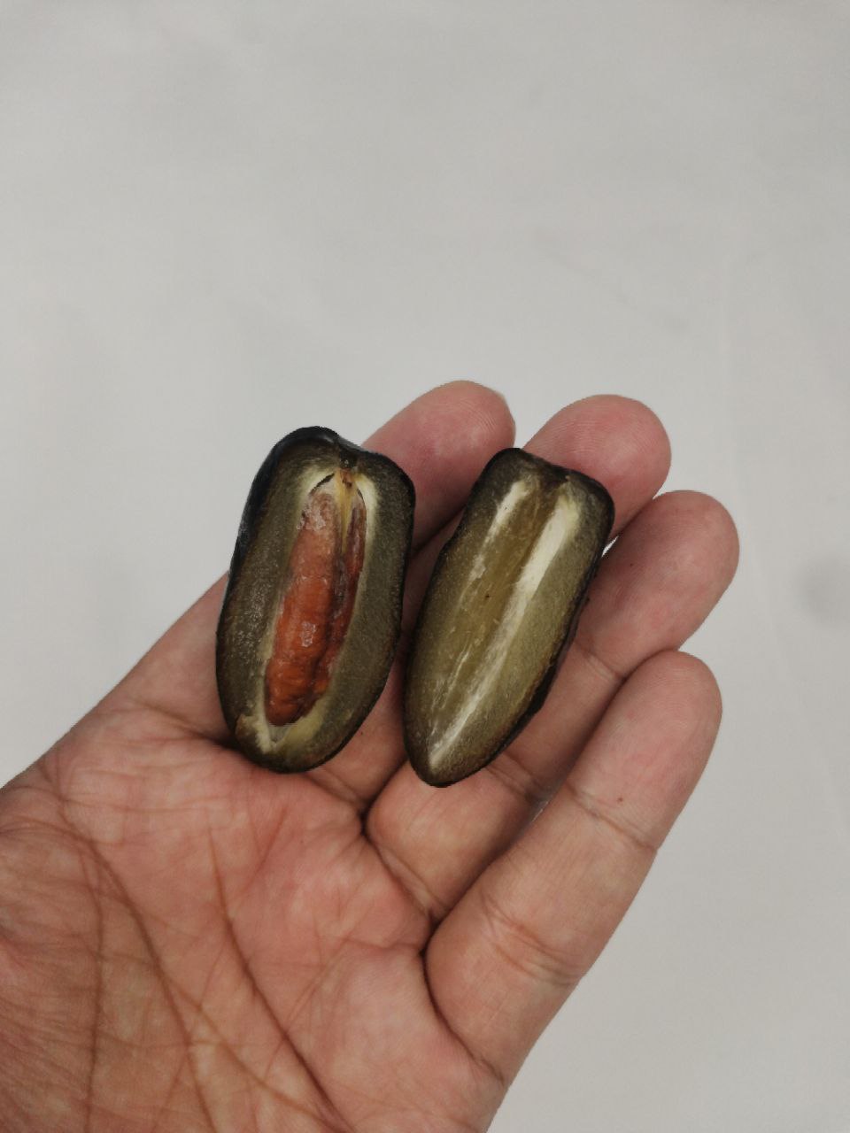 Kurma Jumbo Royal Balah