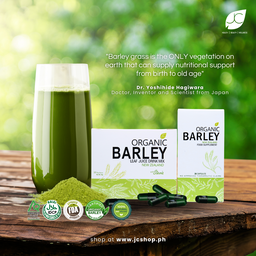 Jc Organic Barley Juice (10 SACHET)
