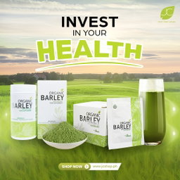 Jc Organic Barley Juice (10 SACHET)