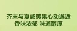 Member's Mark 芥末味夏威夷果仁 500g | 严选当季采摘果实制作 低温慢烤工艺 微辣酥脆