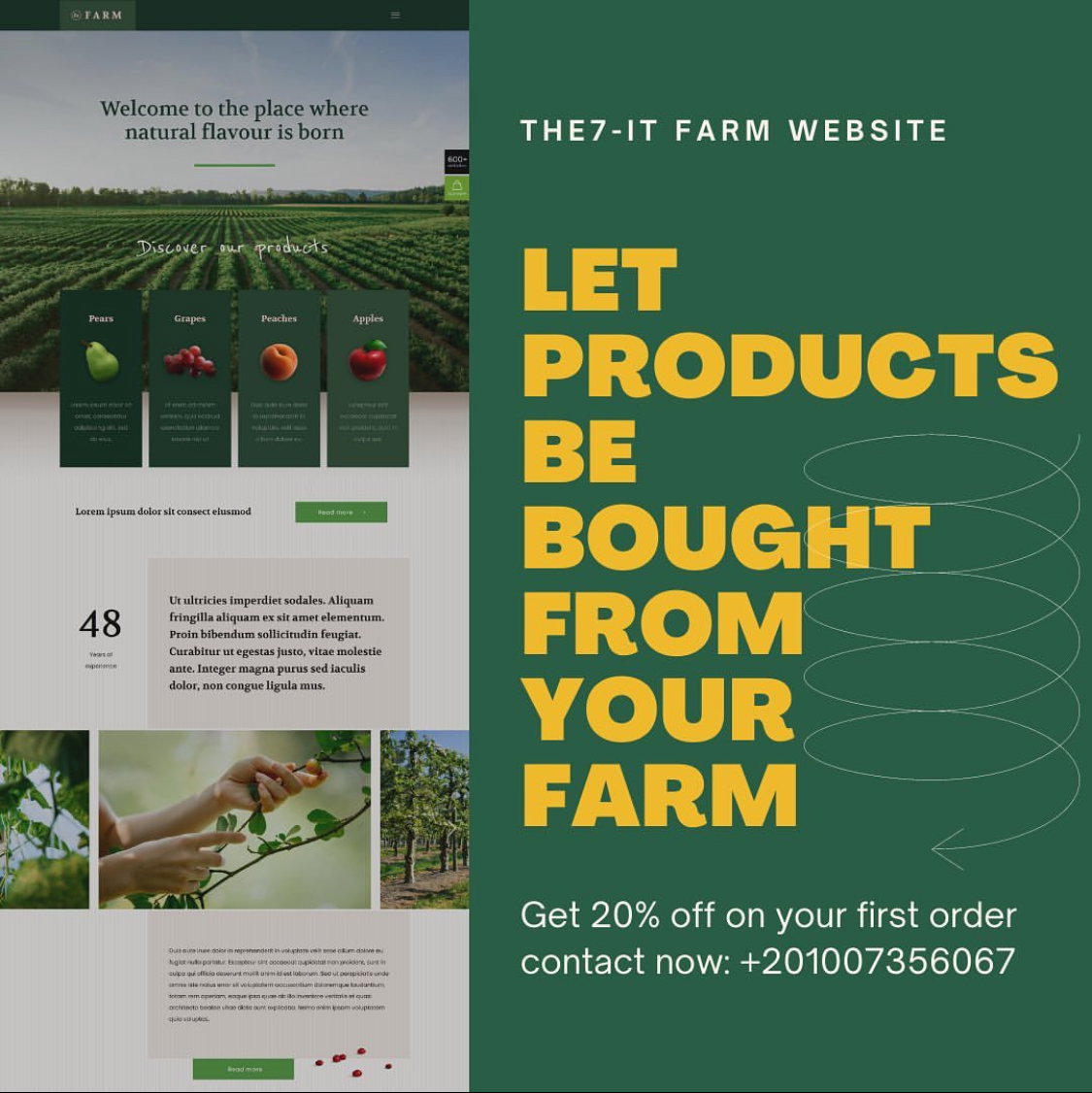 Web Development and Design_2