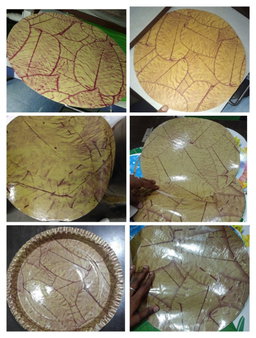 Paper plate raw mtaerial