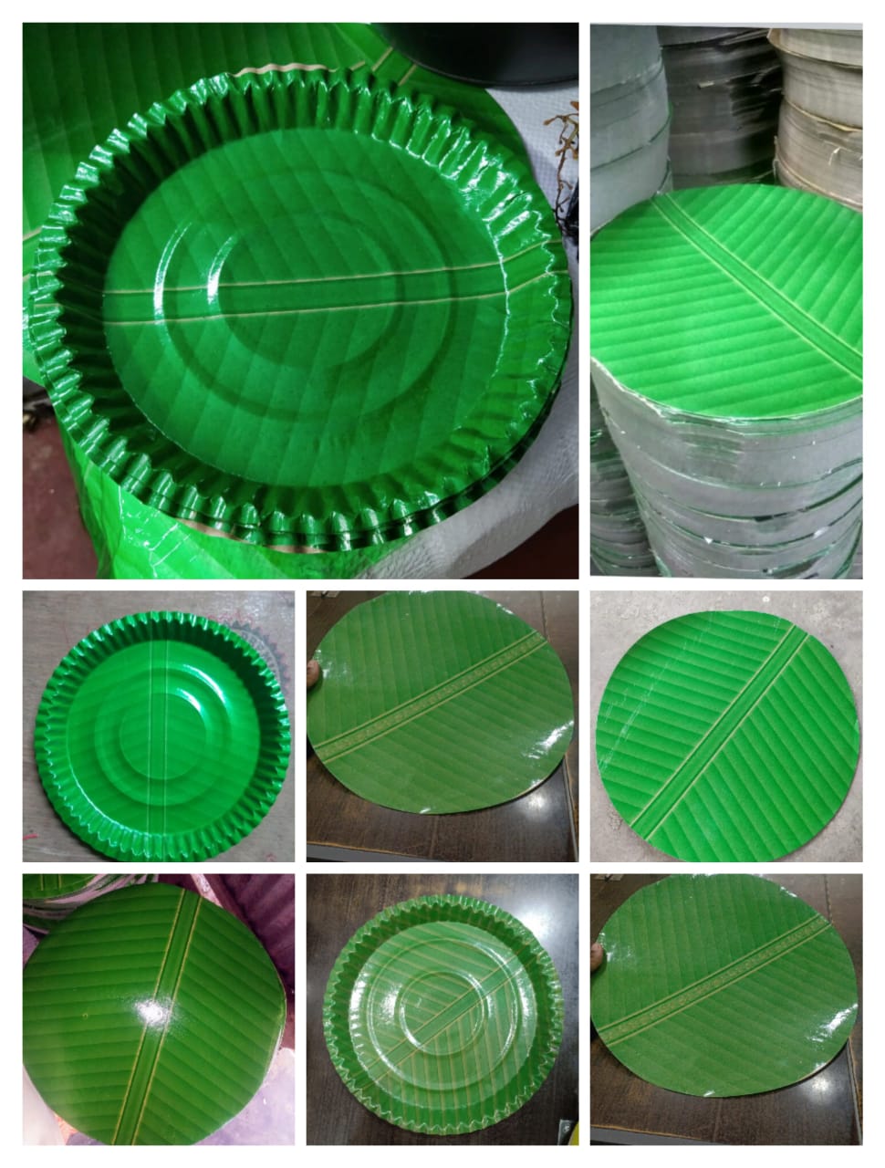 Kelapata_0
