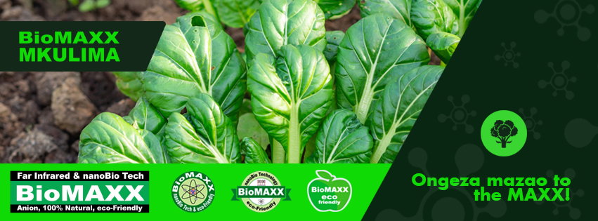 Biomaxx Mkulima Organic Foliar Fertilizer_6