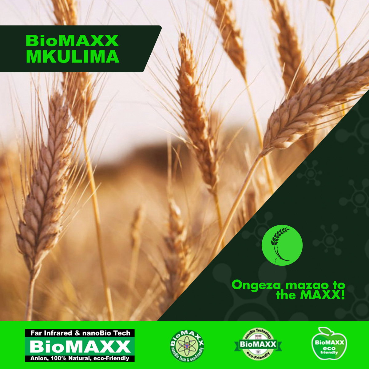 Biomaxx Mkulima Organic Foliar Fertilizer_1