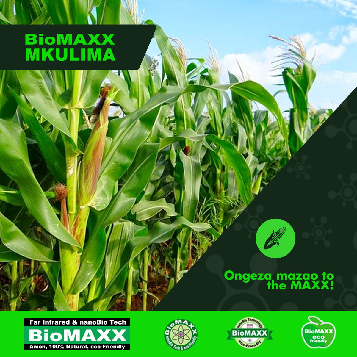 Biomaxx Mkulima Organic Foliar Fertilizer _0