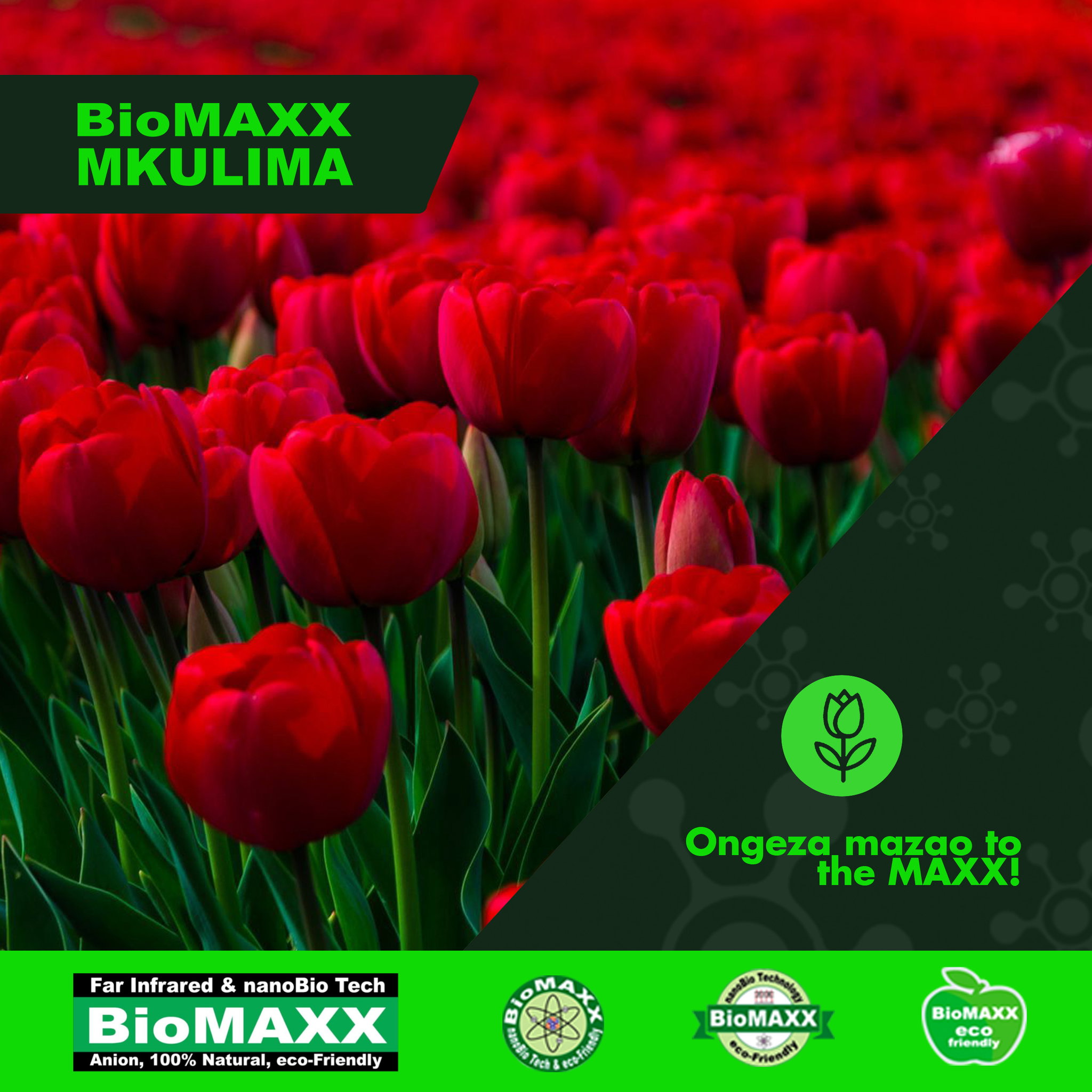 Biomaxx Mkulima Organic Foliar Fertilizer _6
