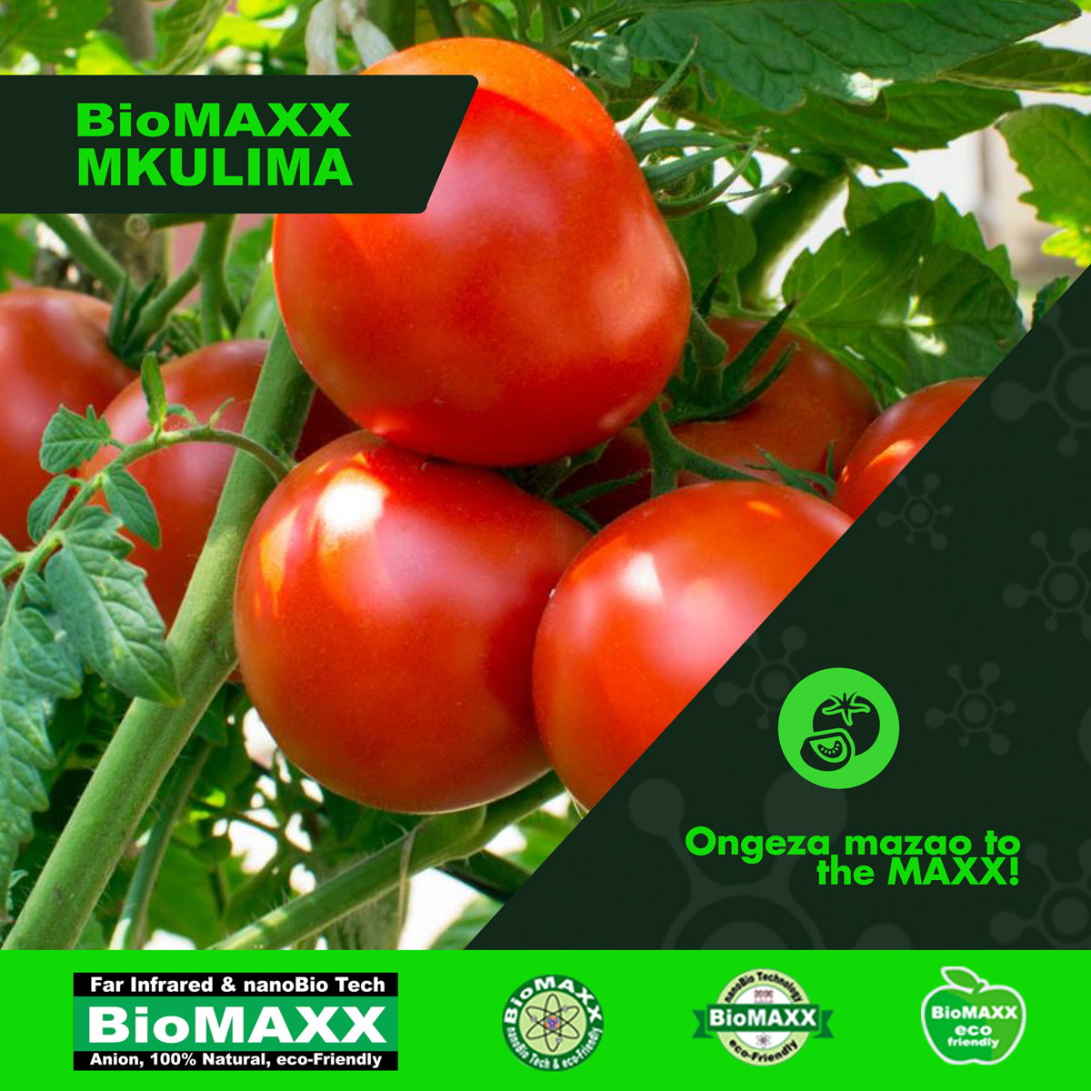 Biomaxx Mkulima Organic Foliar Fertilizer _7