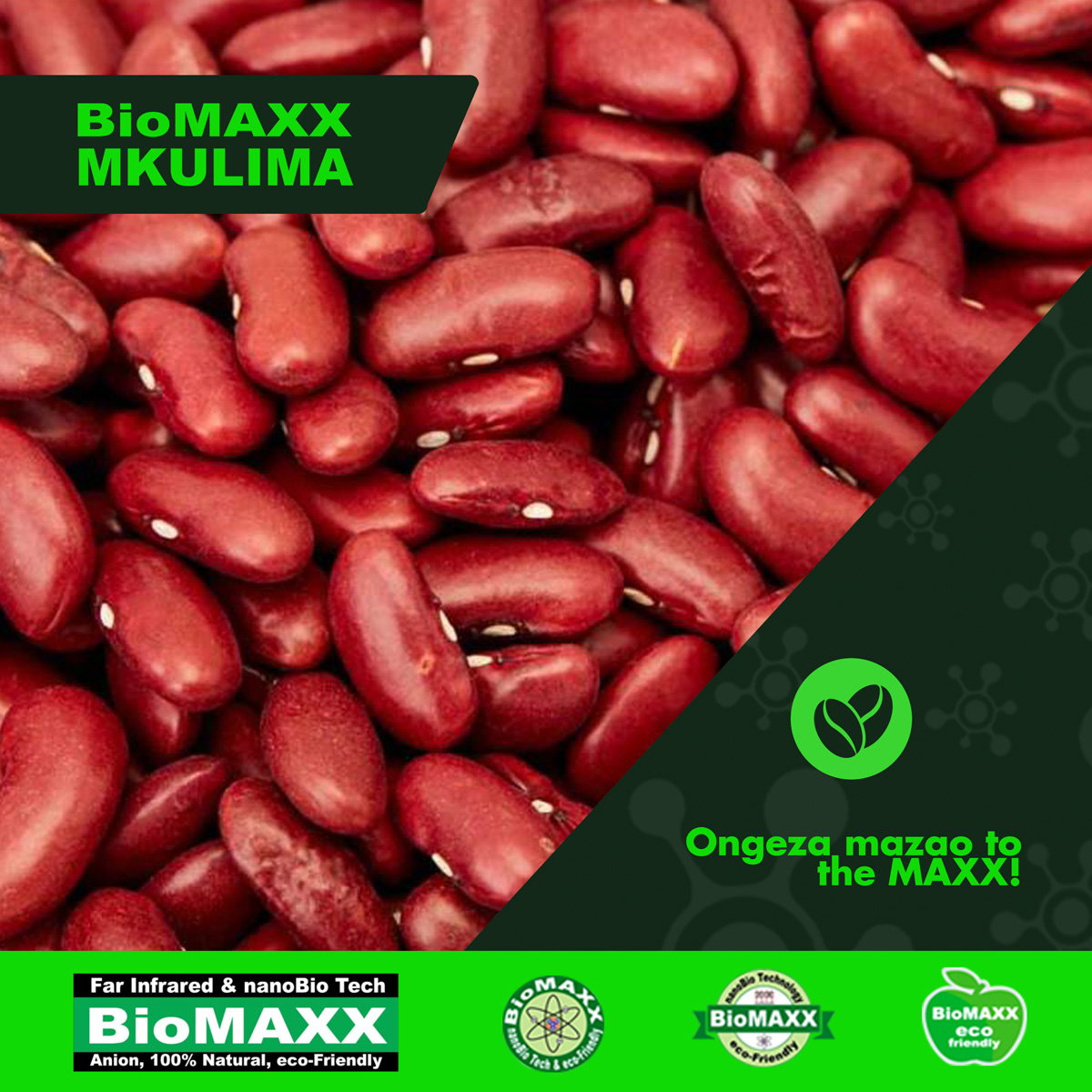 Biomaxx Mkulima Organic Foliar Fertilizer _5