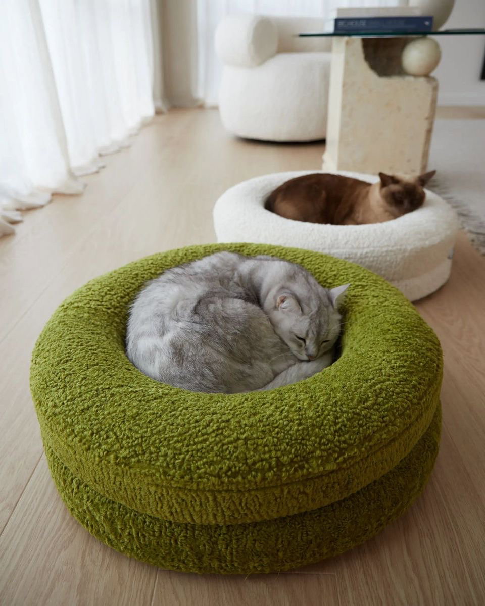 green fuzz bed