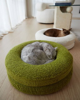 green fuzz bed