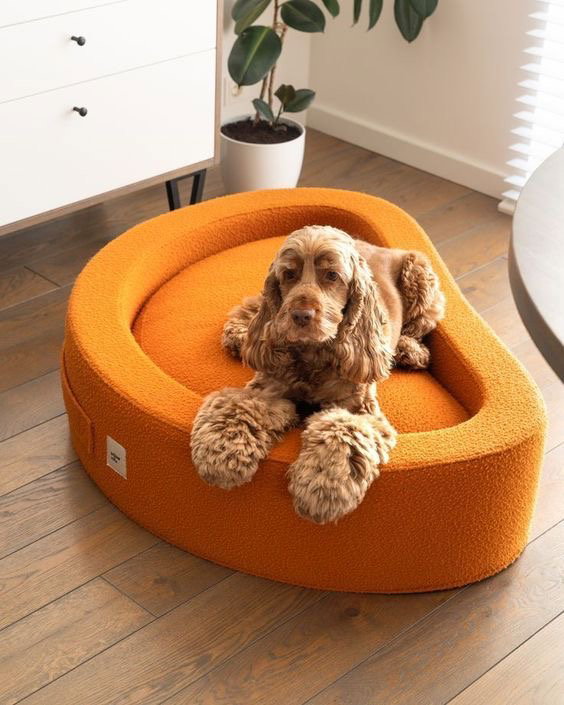 groovy baby bed_0