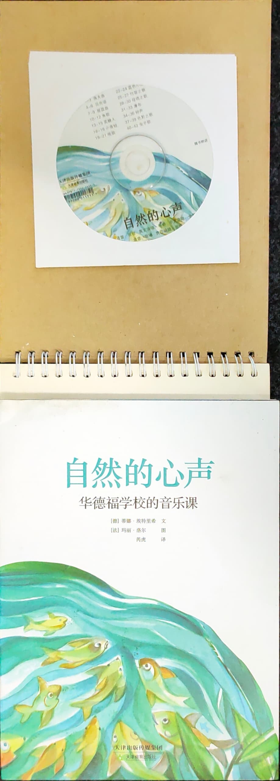 自然的心声 - 华德福学校的音乐课_0